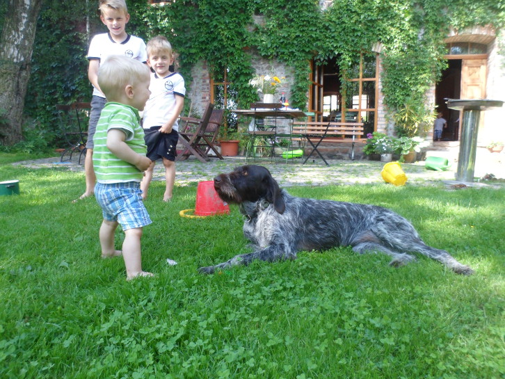 Kinder spielen mit Hund
